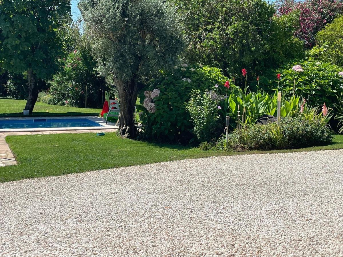 Inviting Holiday Home In Montemor O Novo With Pool Exteriér fotografie